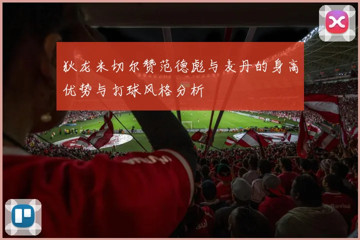 狄龙米切尔赞范德彪与麦丹的身高优势与打球风格分析